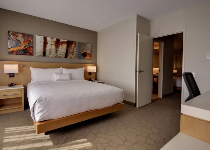 Renaissance Chicago Hotel 4*